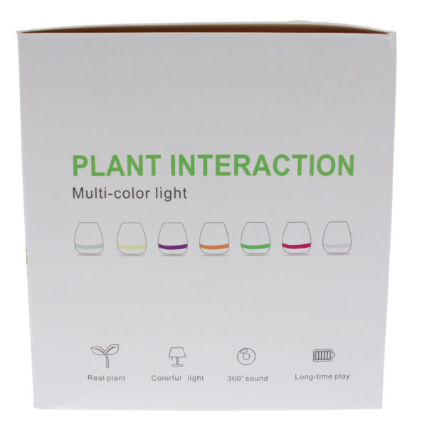 Boxă Bluetooth, ghiveci de flori, United Entertainment - imagine 4