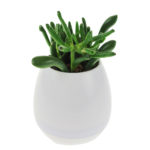 Boxă Bluetooth, ghiveci cu flori - alb, United Entertainment