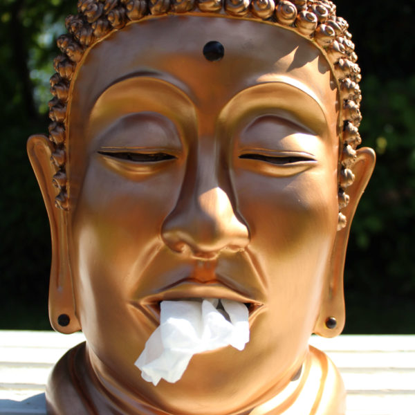 Cutie decorativă șervețele Buddha, Rotary Hero - imagine 3