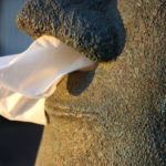 Cutie decorativă șervețele Moai, Rotary Hero - imagine 2