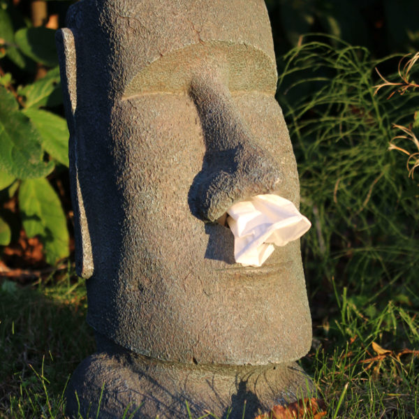 Cutie decorativă șervețele Moai, Rotary Hero - imagine 5