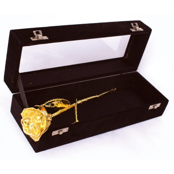 Trandafir placat cu aur de 24k, United Entertainment