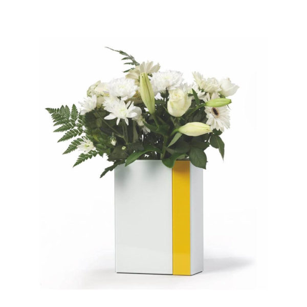 Vaza Line-Up, PO:Selected - imagine 3