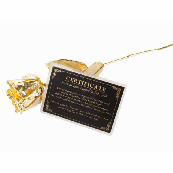 Trandafir placat cu aur de 24k în cutie roșie, United Entertainment - imagine 4