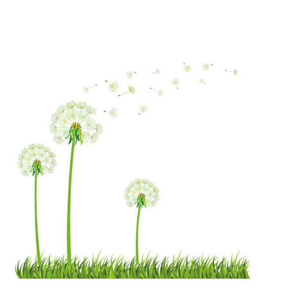 walplus-glow-in-the-dark-decoration-sticker-dandelion Autocolant fosforescent Păpădie - model WS6025, Walplus