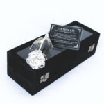 Trandafir placat cu argint, United Entertainment - imagine 3