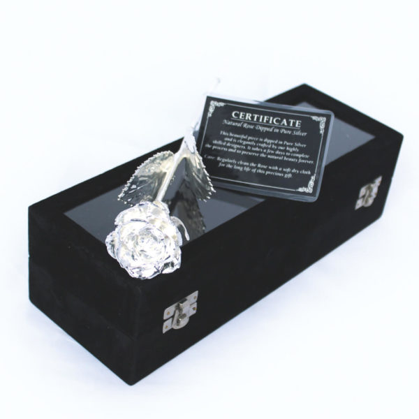 Trandafir placat cu argint, United Entertainment - imagine 3