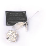 Trandafir placat cu argint, United Entertainment - imagine 4