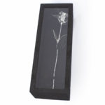 Trandafir placat cu argint, United Entertainment - imagine 5