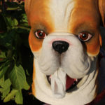 Cutie decorativă șervețele Bulldog , Rotary Hero - imagine 5