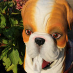 Cutie decorativă șervețele Bulldog , Rotary Hero - imagine 6