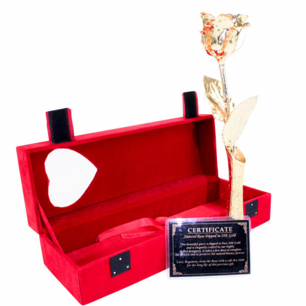 united-entertainment-golden-rose-with-golden-vase-in-red-velvet-box Trandafir și vază, placate cu aur de 24k în cutie de catifea roșie